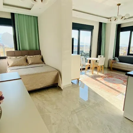 Апартаменты Seda Tower New Apart Алания